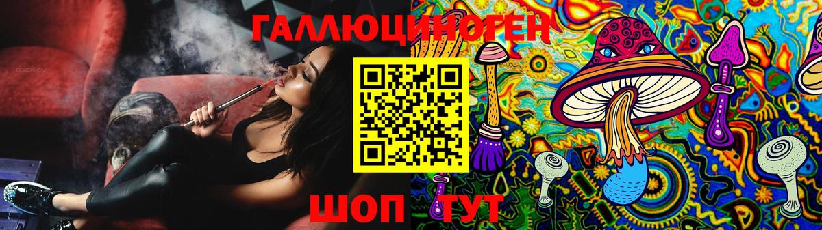 Псилоцибиновые грибы GOLDEN TEACHER  Галлюциногенные грибы Psilocybine cubensis  Алейск  Вход с VPN 